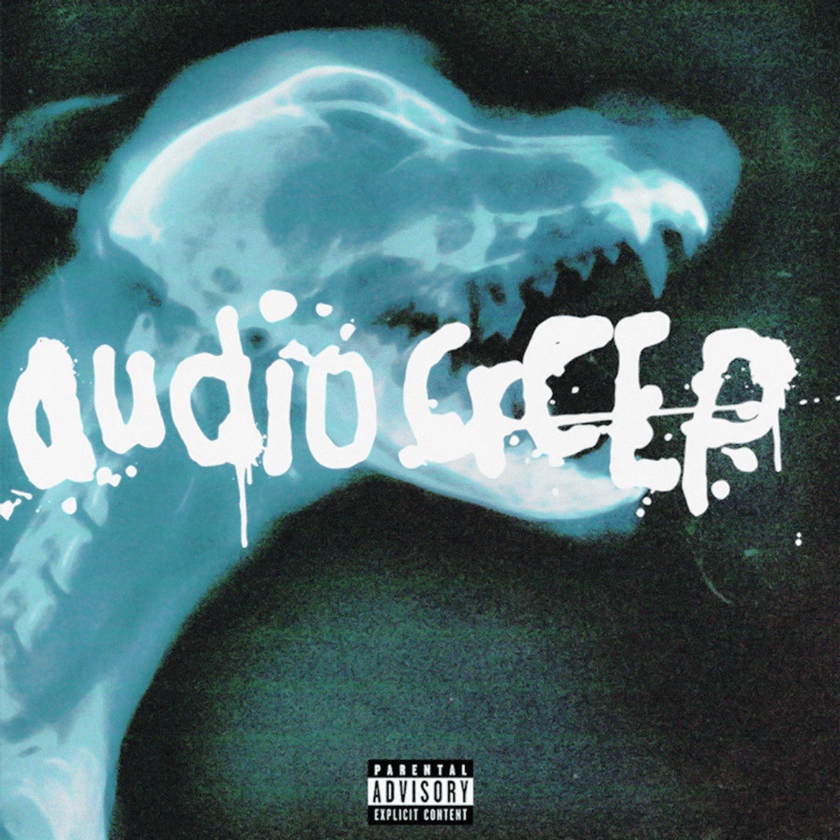 Album artwork placeholder